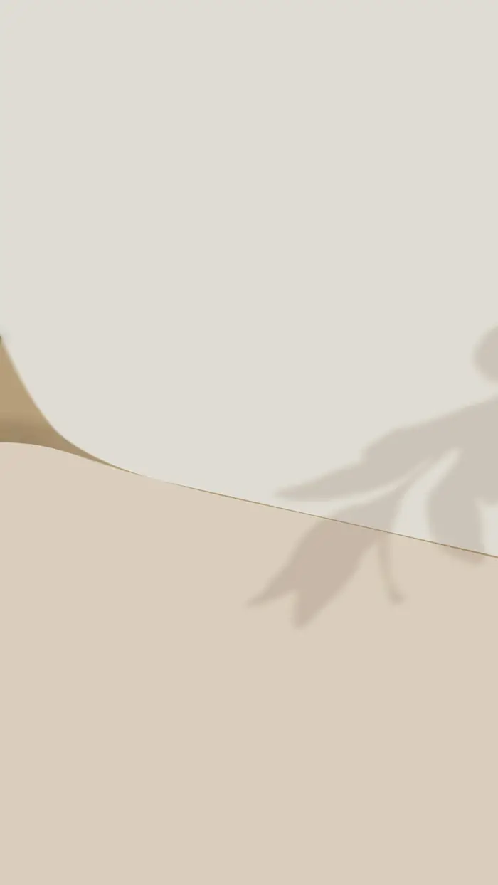 Leaf shadows falling across a warm plaster wall